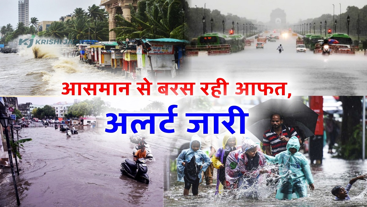 Monsoon Alert: गुजरात, महाराष्ट्र समेत इन राज्यों में बारिश से भारी तबाही,  जानें देशभर के मौसम का हाल - Monsoon Alert: Heavy devastation due to rain  in these states including Gujarat, Maharashtra, know the weather condition  across the country