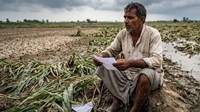 PM Fasal Bima Yojana: फसल बीमा में फर्जी क्लेम करना पड़ेगा भारी, जेल और जुर्माने के साथ योजना से हो सकते हैं बाहर