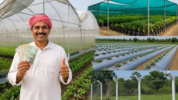 खुशखबरी! पॉलीहाउस, शेडनेट, मल्चिंग और फेंसिंग पर मिलेगी 50% तक सब्सिडी, ऐसे करें आवेदन