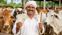 पशुपालकों की लग गई लॉटरी! सरकार स्वदेशी गाय पालन पर दे रही है 15 हजार तक भारी अनुदान, जानिए कैसे उठाएं योजना का लाभ..