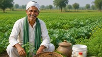खुशखबरी! प्राकृतिक खेती करने पर मिलेगा 4,000 रुपये प्रति एकड़ तक अनुदान, जानें कब तक उठा  सकते हैं योजना का फायदा..