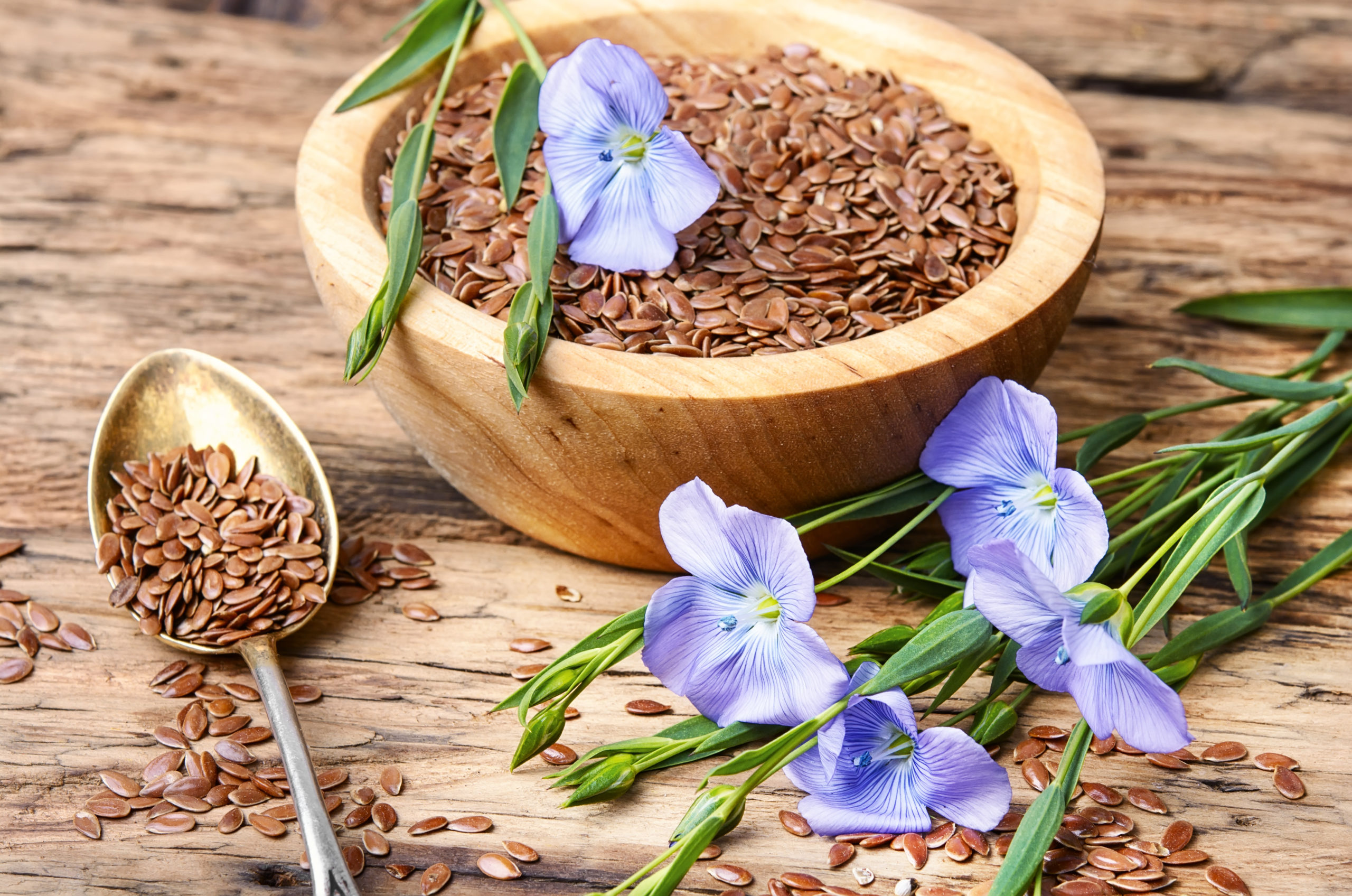 Linseed is obtained from / अलसी प्राप्त होता है Biology