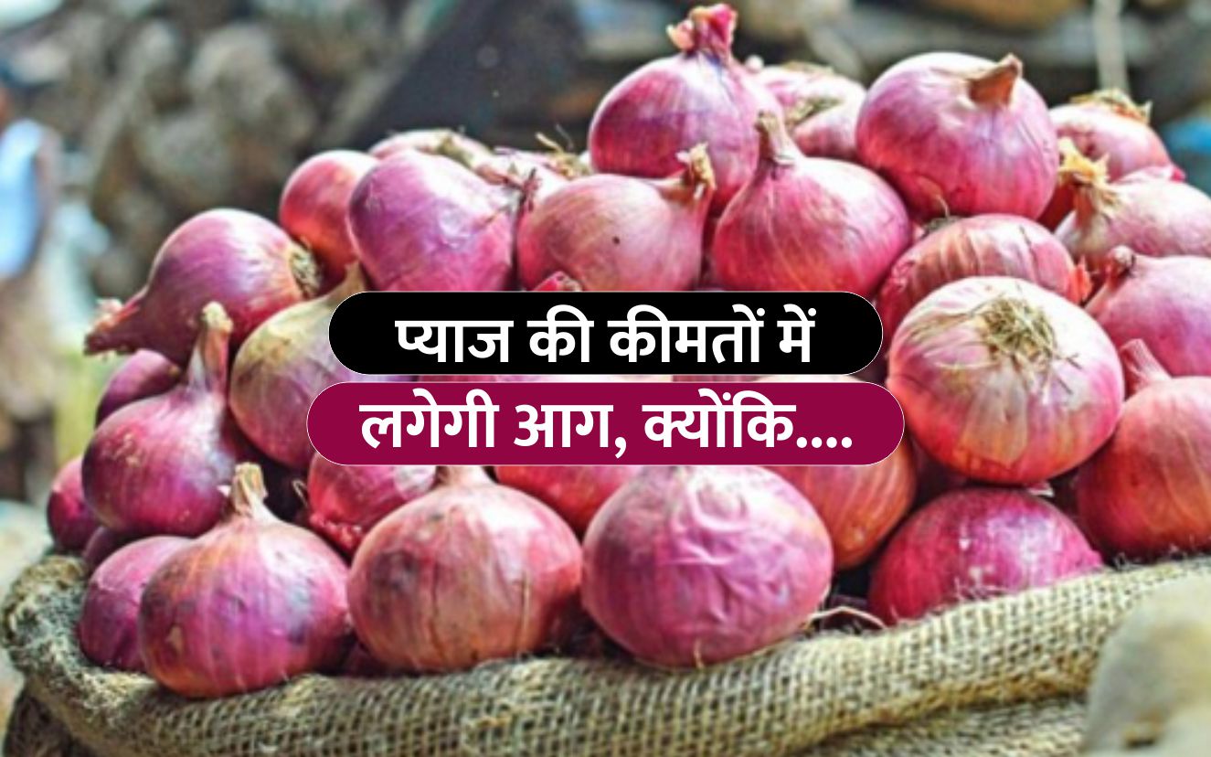 Onion Price Hike फिर लगेगी प्याज की कीमत में आग, आम जनता होगी बेहाल
