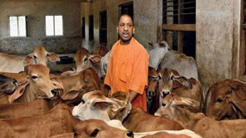 Yogi Adityanath with cows