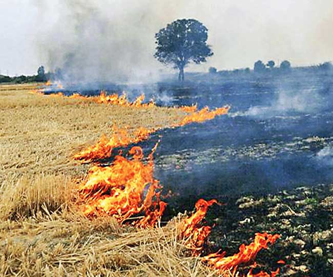 Crop Residue