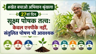 सूक्ष्म पोषक तत्त्व: केवल एनपीके नहीं, संतुलित पोषण भी आवश्यक