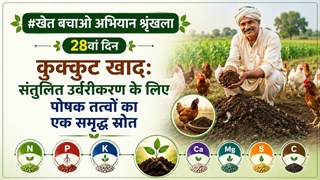  कुक्कुट खाद: संतुलित उर्वरीकरण के लिए पोषक तत्वों का एक समृद्ध स्रोत