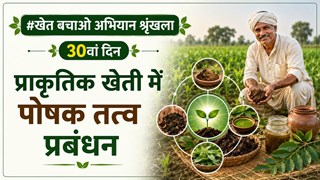 Nutrient Management in Natural Farming: प्राकृतिक खेती में पोषक तत्व प्रबंधन